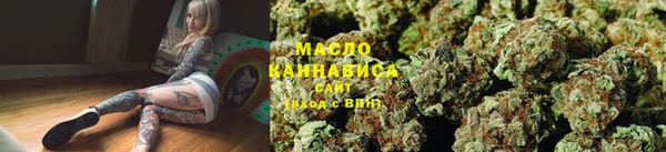 тгк Медногорск