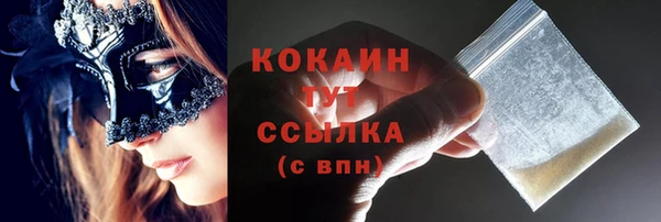 винт Мегион