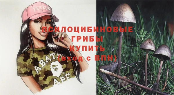 ALPHA-PVP Медвежьегорск