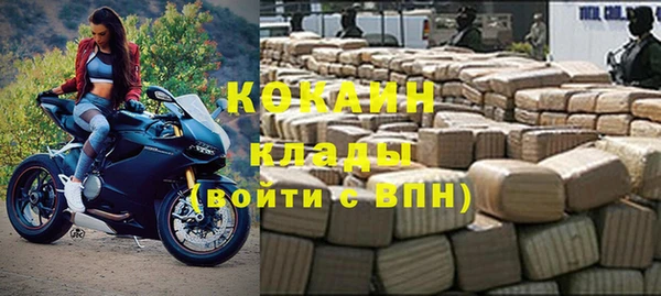 стафф Бородино