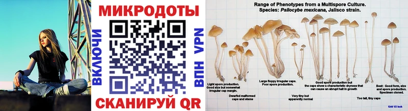 Галлюциногенные грибы ЛСД  KRAKEN рабочий сайт  Вихоревка  хочу наркоту 